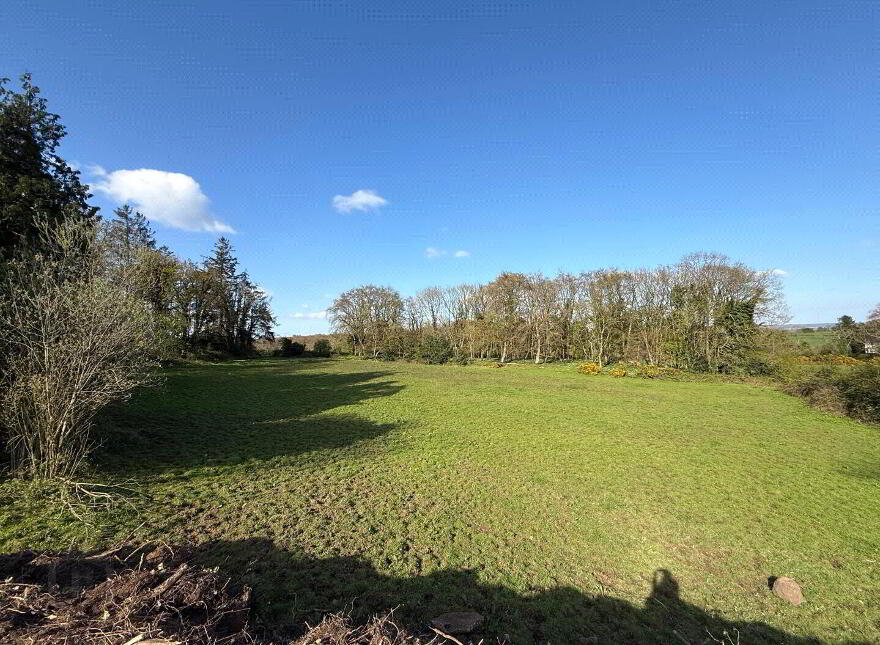 Former Mill Site ( Four Acre Plot), 19 Hillhead Road, Kilrea, BT51 5XS