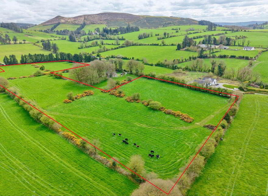 Lackendarra, Anglesboro, Kilmallock, V35FX68