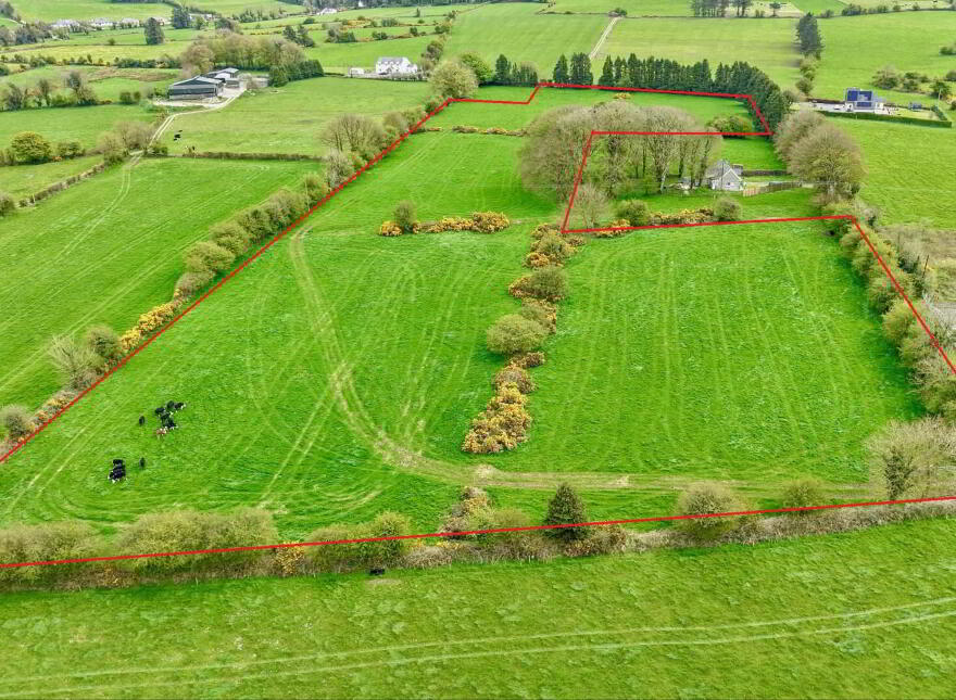 Lackendarra, Anglesboro, Kilmallock, V35FX68