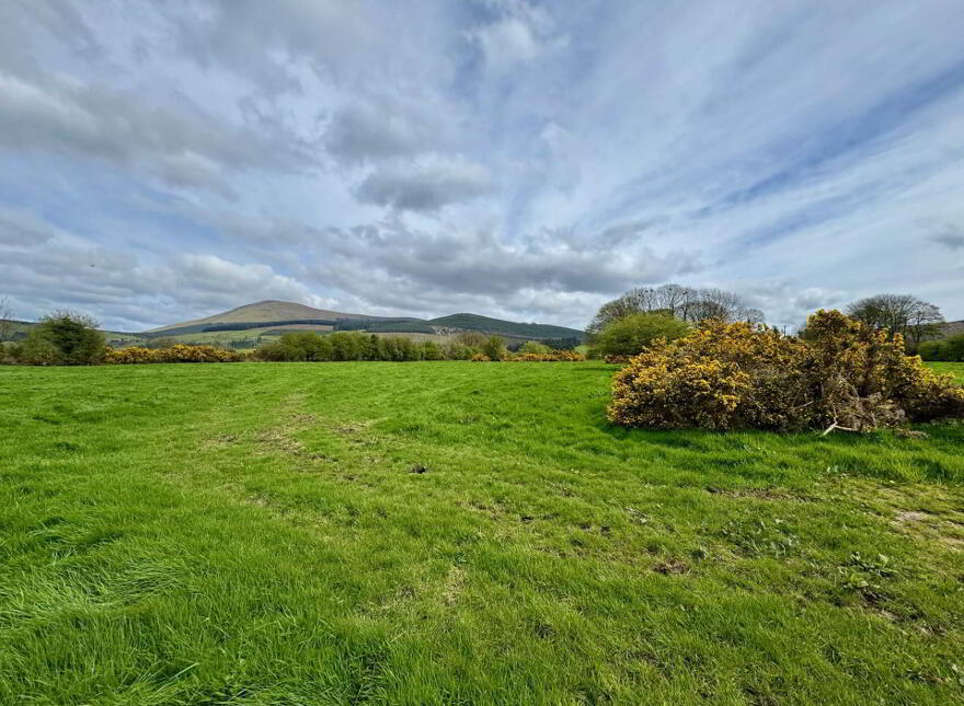 Lackendarra, Anglesboro, Kilmallock, V35FX68