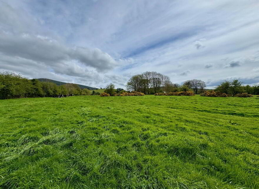 Lackendarra, Anglesboro, Kilmallock, V35FX68