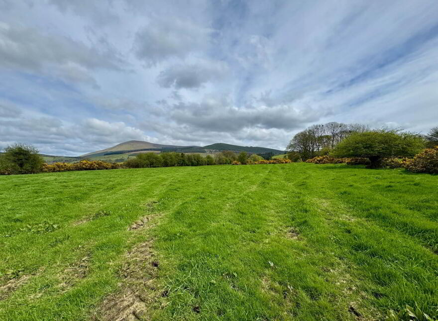Lackendarra, Anglesboro, Kilmallock, V35FX68