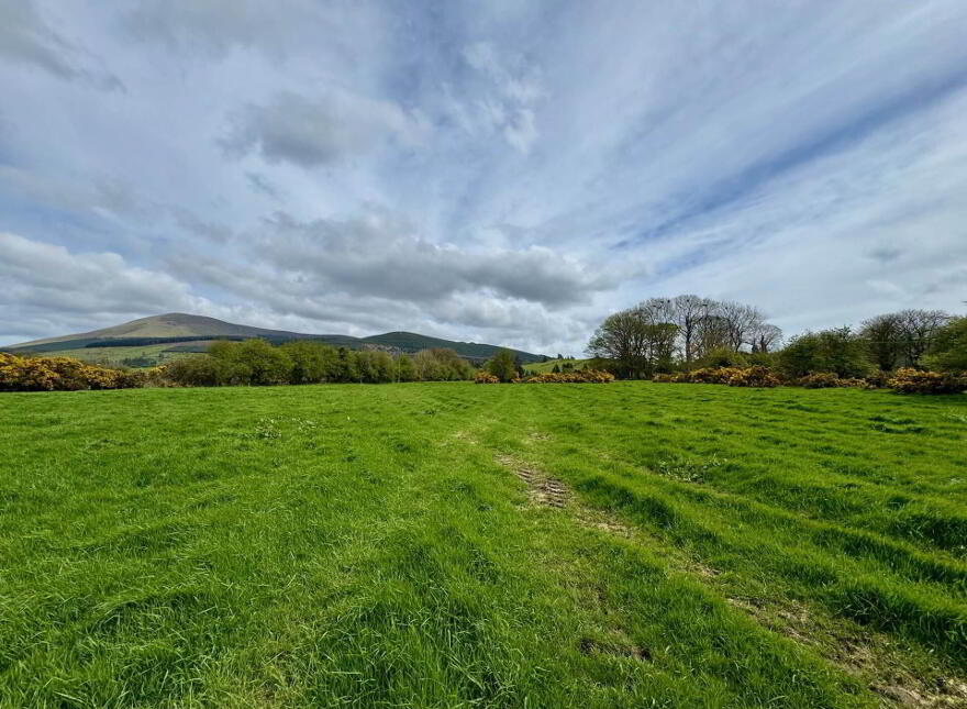 Lackendarra, Anglesboro, Kilmallock, V35FX68