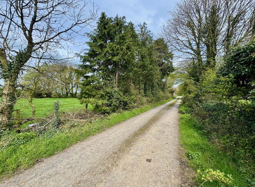 Lackendarra, Anglesboro, Kilmallock, V35FX68