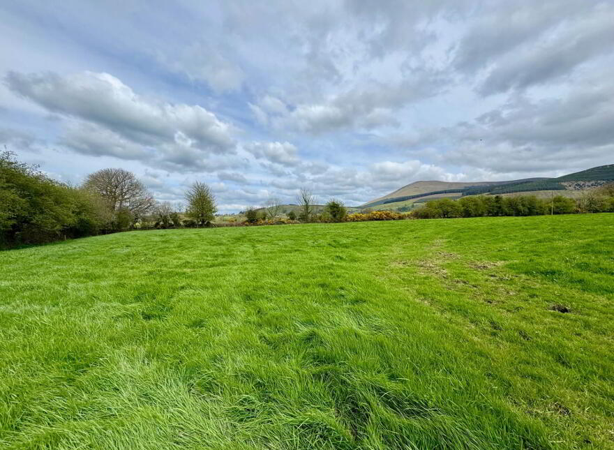 Lackendarra, Anglesboro, Kilmallock, V35FX68