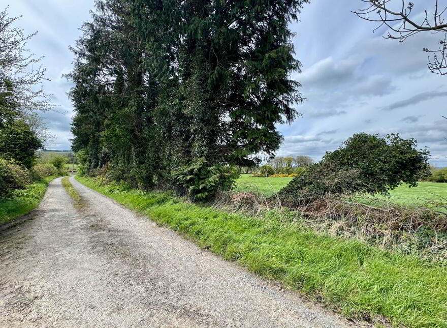 Lackendarra, Anglesboro, Kilmallock, V35FX68