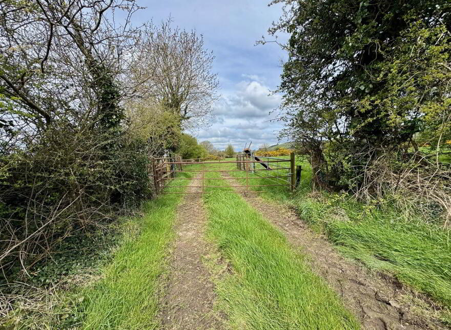 Lackendarra, Anglesboro, Kilmallock, V35FX68