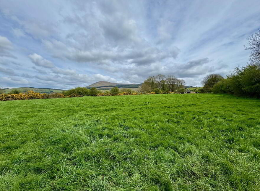 Lackendarra, Anglesboro, Kilmallock, V35FX68
