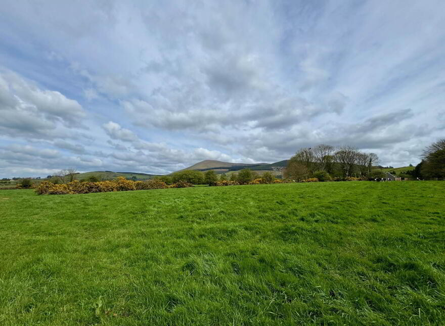 Lackendarra, Anglesboro, Kilmallock, V35FX68