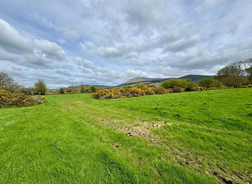 Lackendarra, Anglesboro, Kilmallock, V35FX68