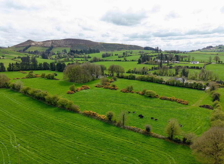 Site At, Lackendarra, Kilmallock, V35FX68