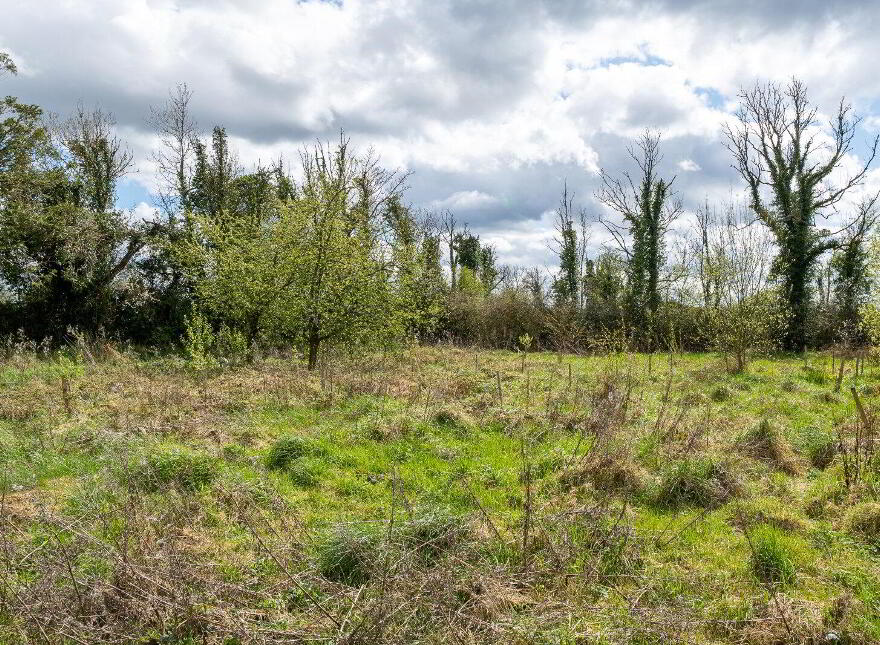 Corraun, Tarmonbarry, N39X768