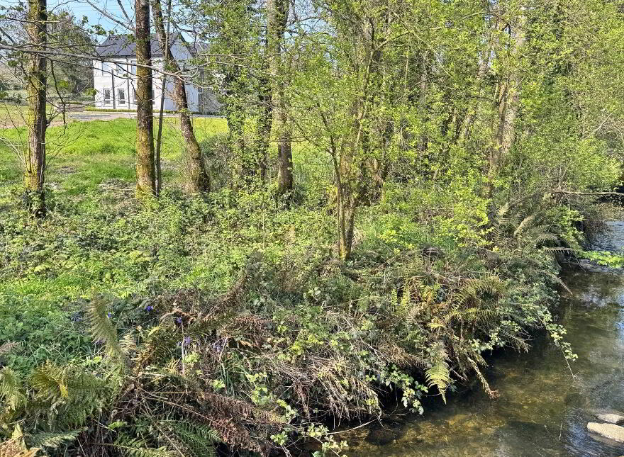 Mullantlavan, Magheracloone, Carrickmacross, A81VH60