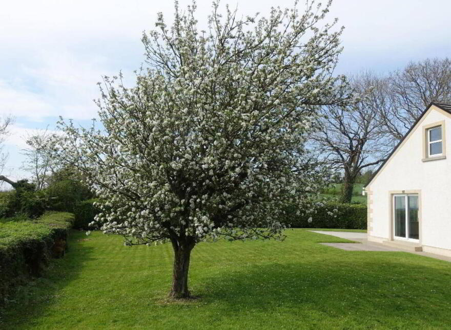 6 Screevagh Road, Lisnaskea, BT92 0FA
