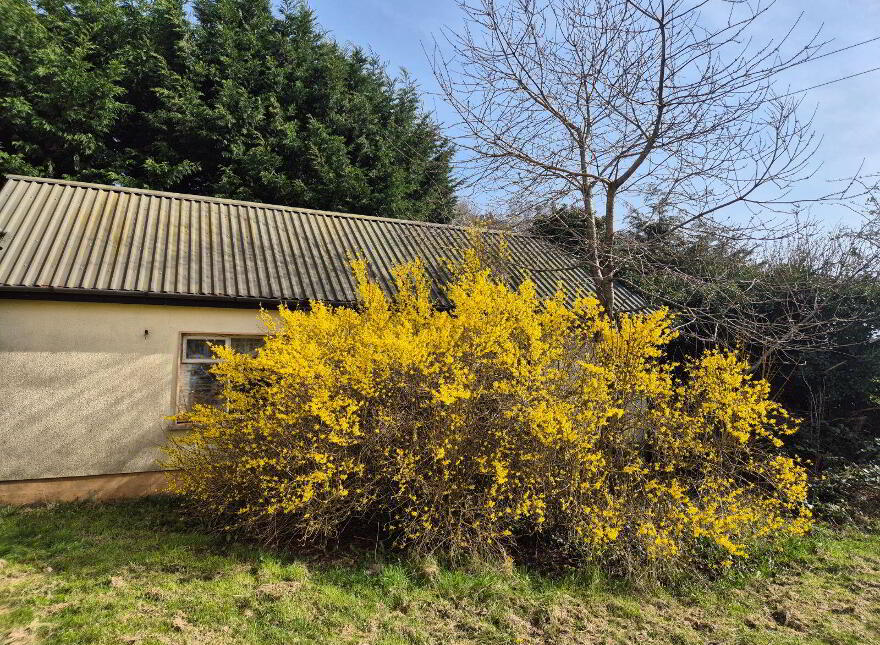 Cabra, Kingscourt, A82NT98