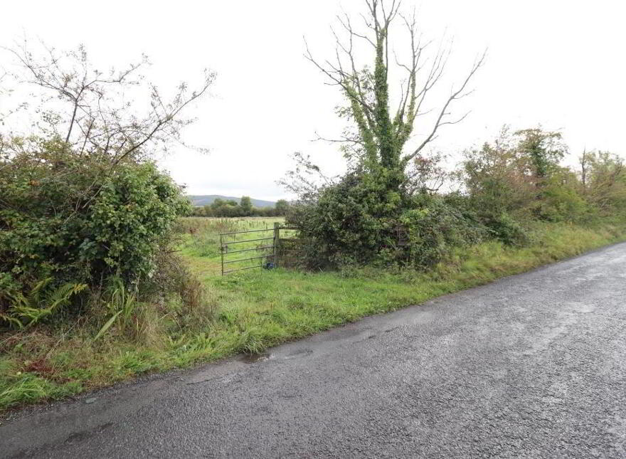 Balinanima, Kilfinane