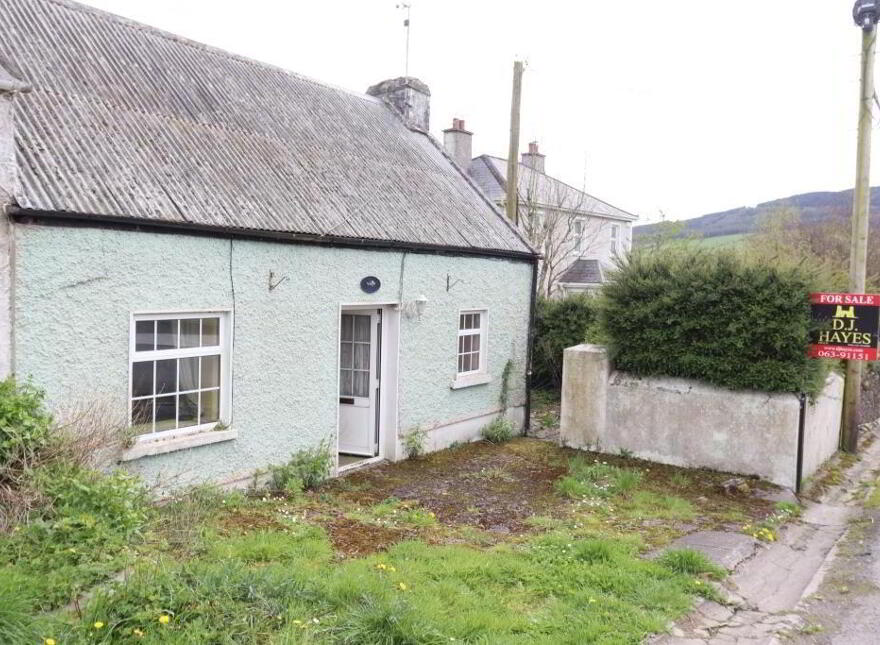 The Old Homestead, Kilfinane, Ballyorgan, V35X935