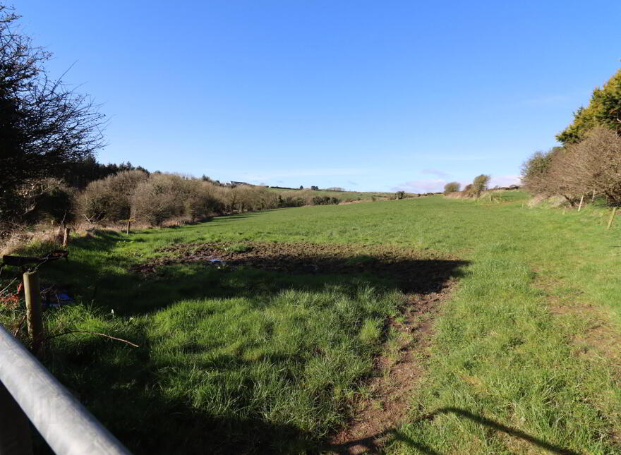 4.15 Acres, Reagrove, Minane Bridge