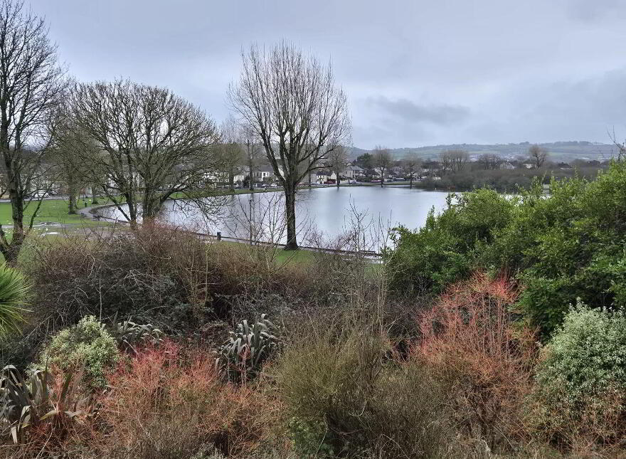Cherryfield, Lough Villas, The Lough, T12E0C3