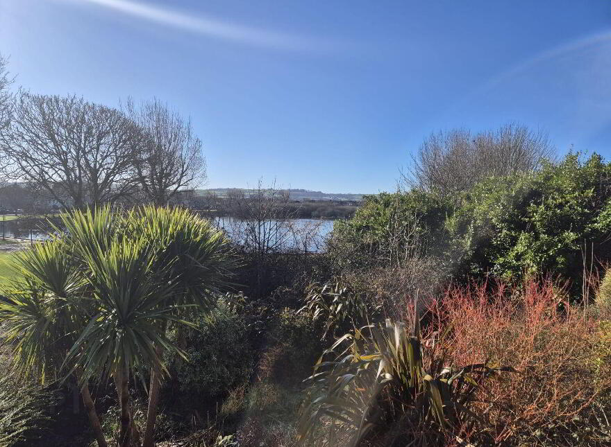 Cherryfield, Lough Villas, The Lough, T12E0C3