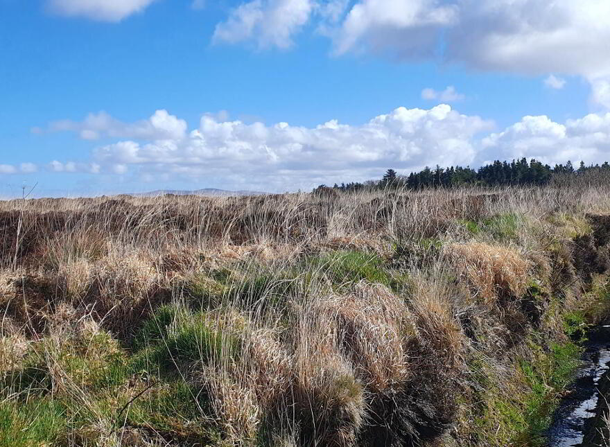 Meenbanad, Burtonport