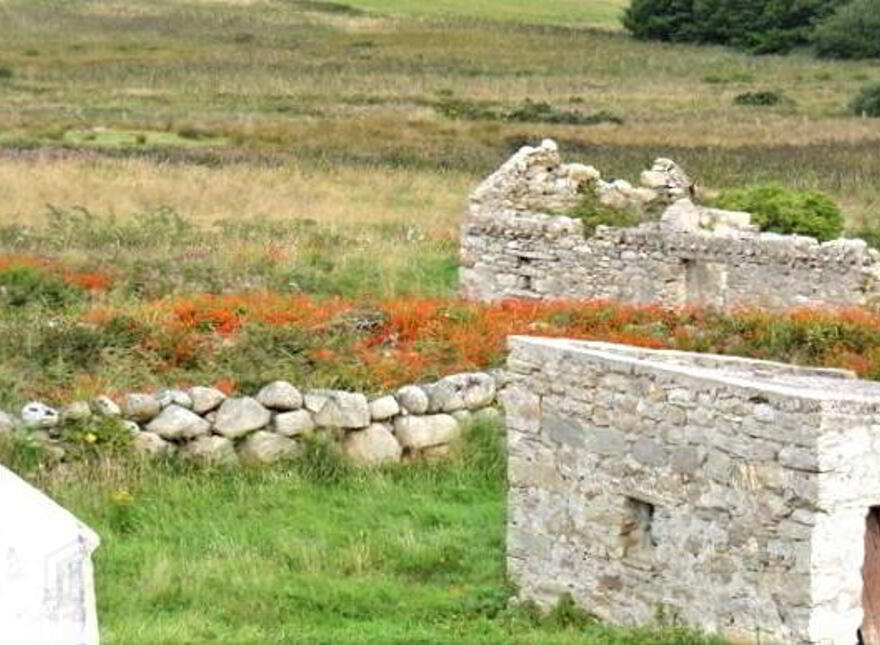 Carrickmacgarvey, Brinlack, Derrybeg, F92Y8P2