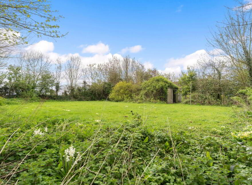 Bridgetown Upper, Castletownroche, P51RW63