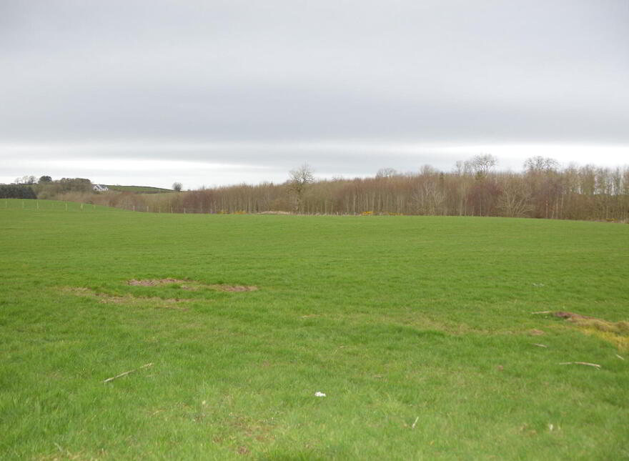 SMALLHOLDING Islandmore House, 136 Gracehill Road, Ballymoney, BT53 8LY