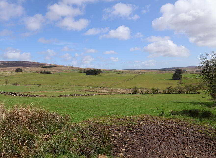 60m East Of, 38 Old Cushendun Road, Newtowncrommelin, Ballymena, BT43 6RN