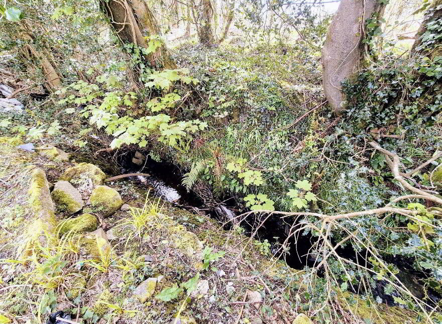 Moore's Cottage, Ballymore, Kinlough