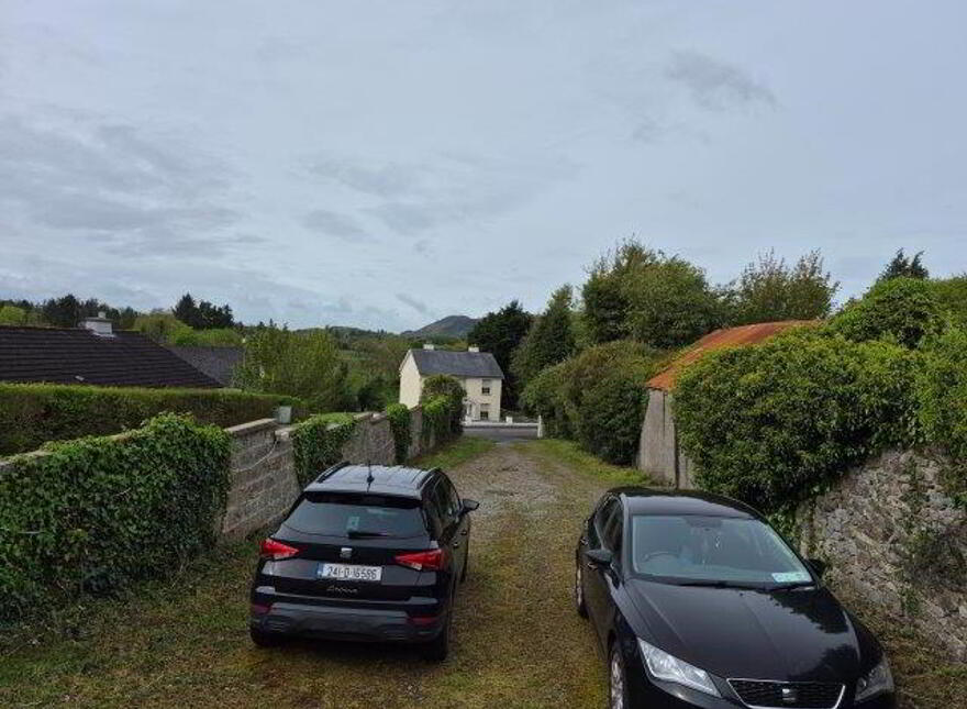 Main Street, Manorhamilton, F91N201