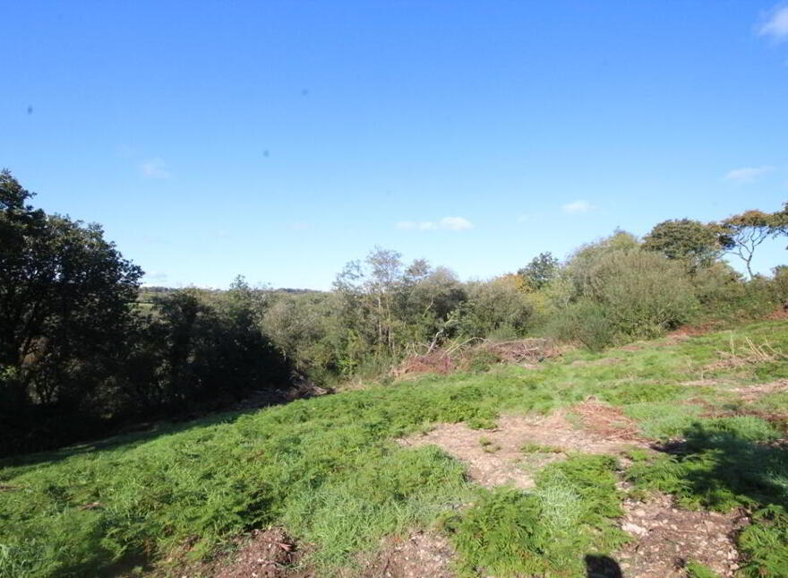 Brinny, Innishannon