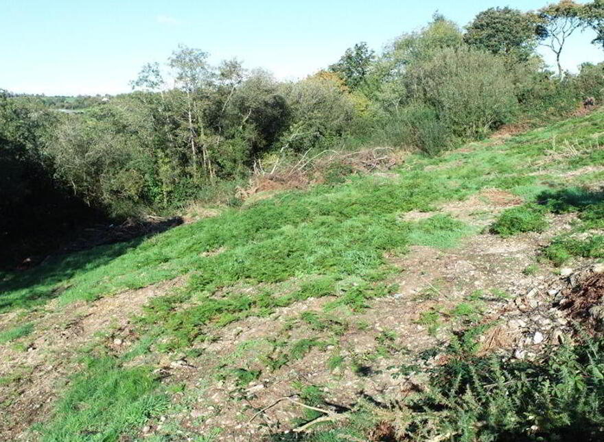 Brinny, Innishannon