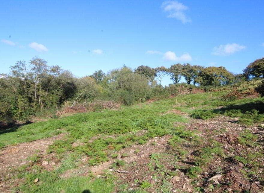 Brinny, Innishannon