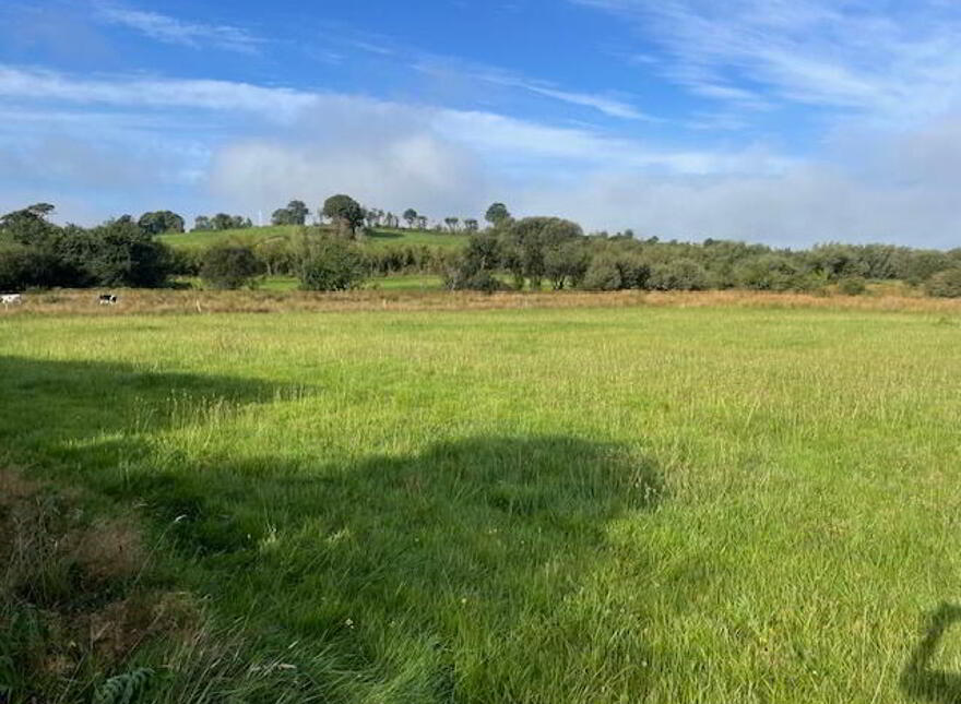 Lissarourke, Enniskeane