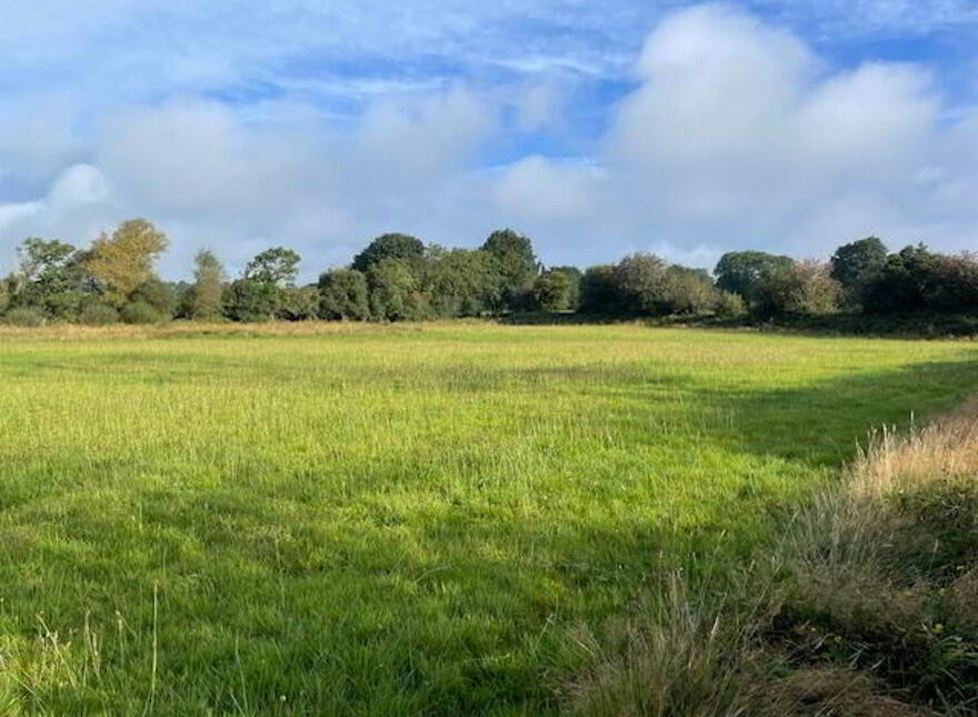 Lissarourke, Enniskeane