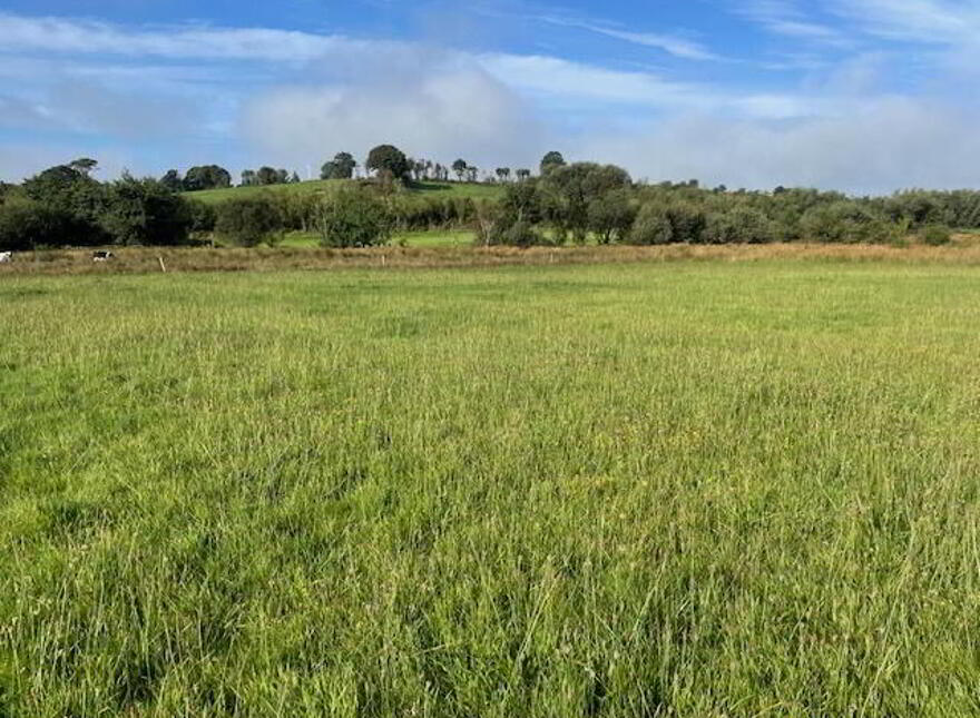 Lissarourke, Enniskeane