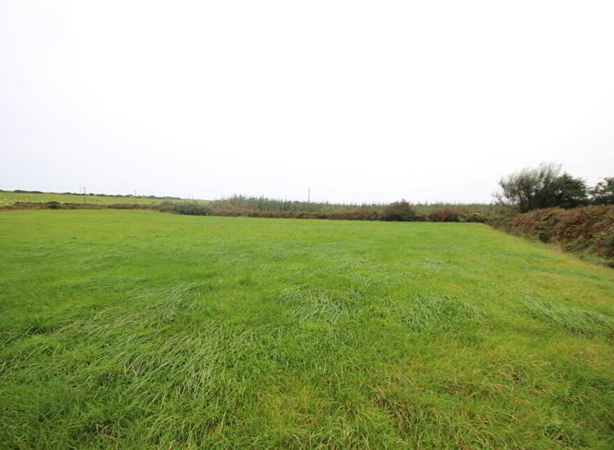 Dromdough, Ballinspittle