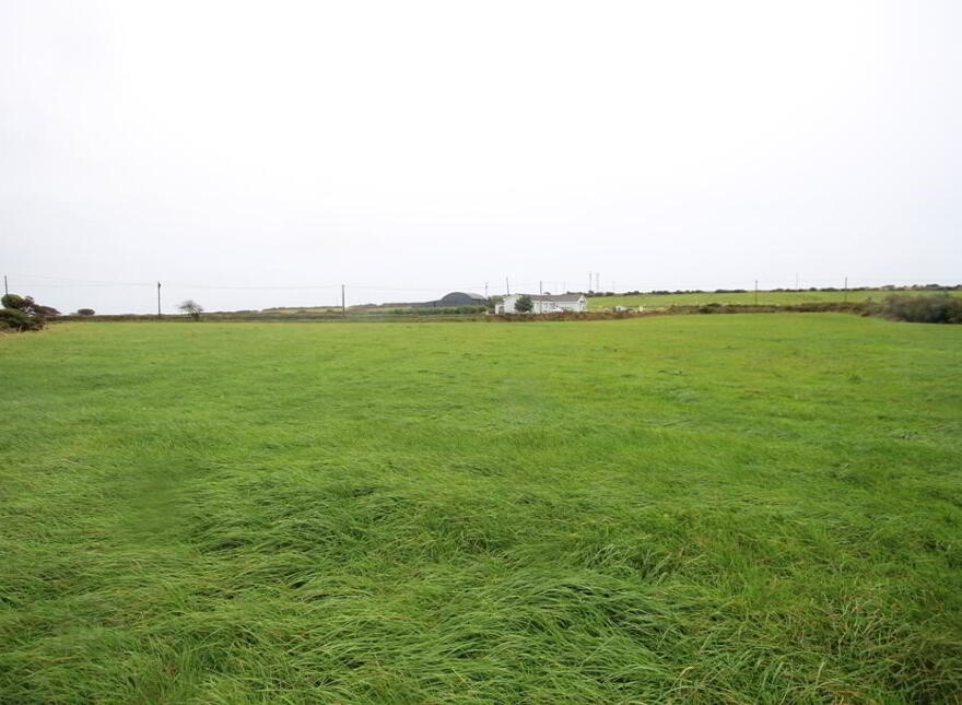 Dromdough, Ballinspittle
