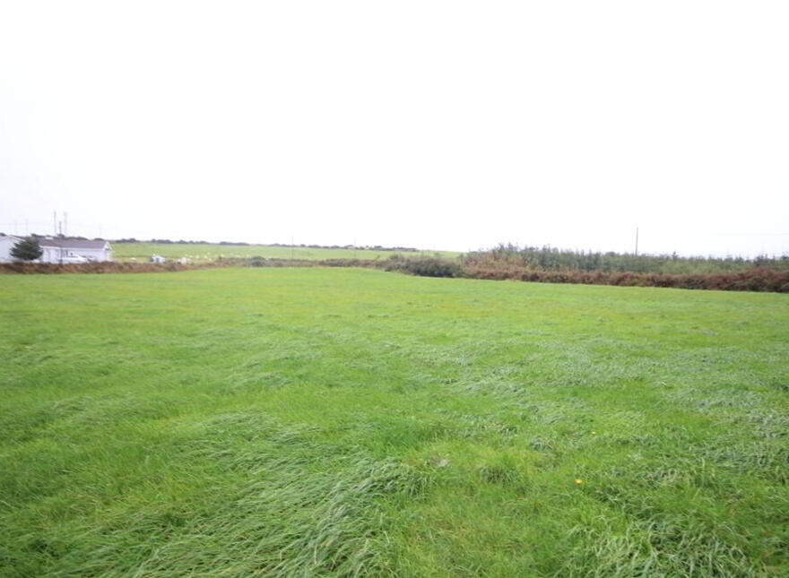 Dromdough, Ballinspittle