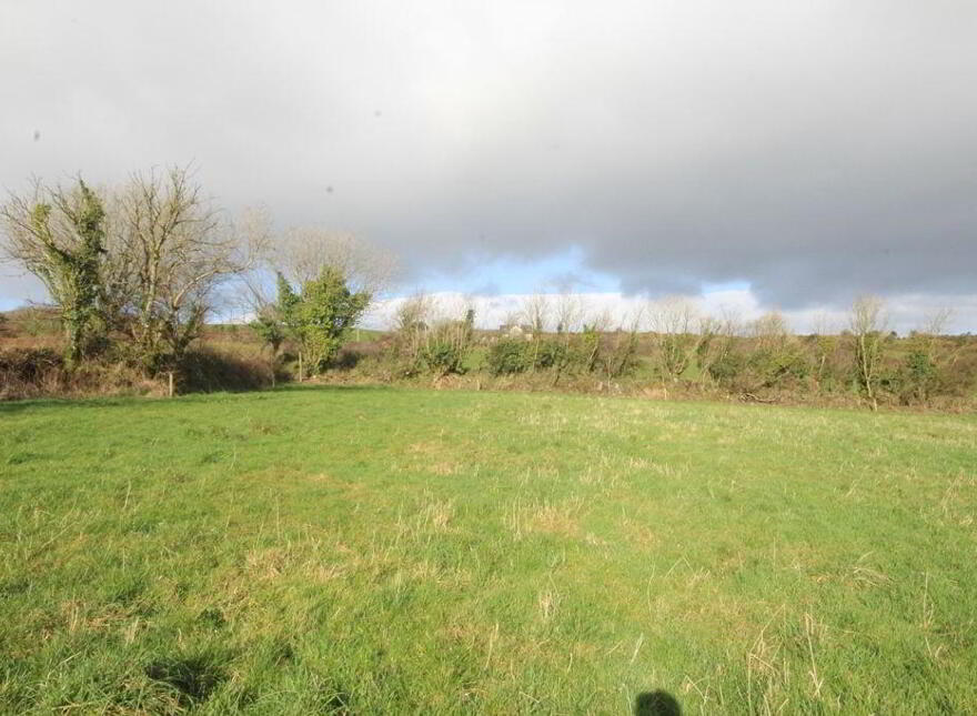 Mossgrove, Bandon