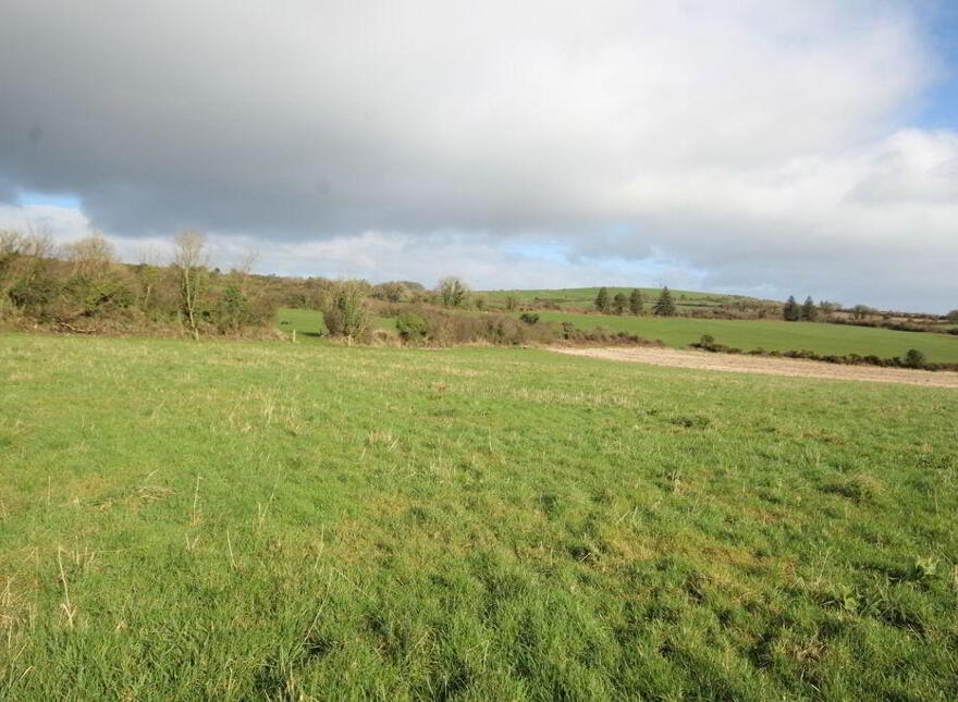 Mossgrove, Bandon