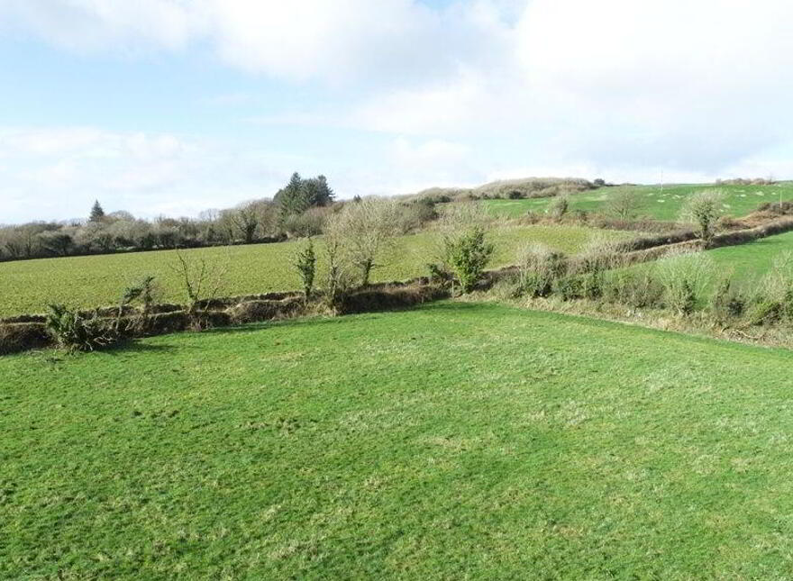 Mossgrove, Bandon