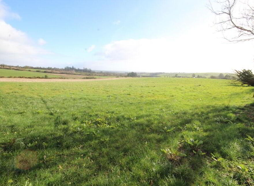 Mossgrove, Bandon