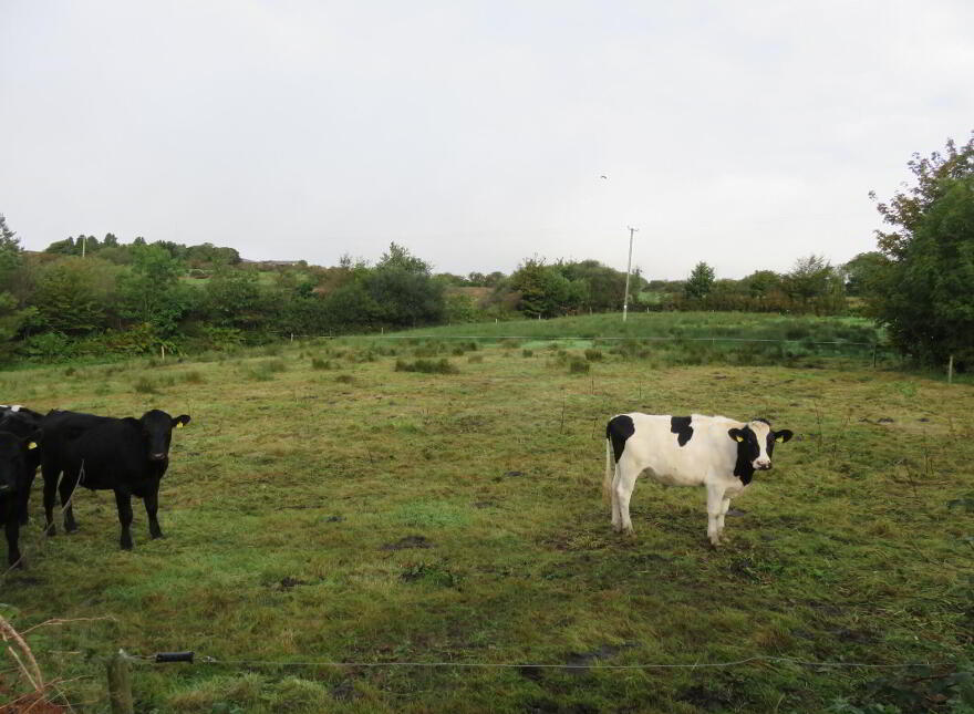 Ratharoon, Bandon