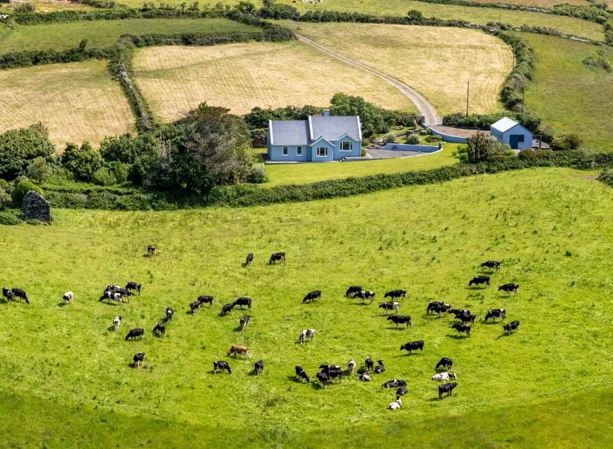 Ballynatra, Kilcrohane, P75VN24