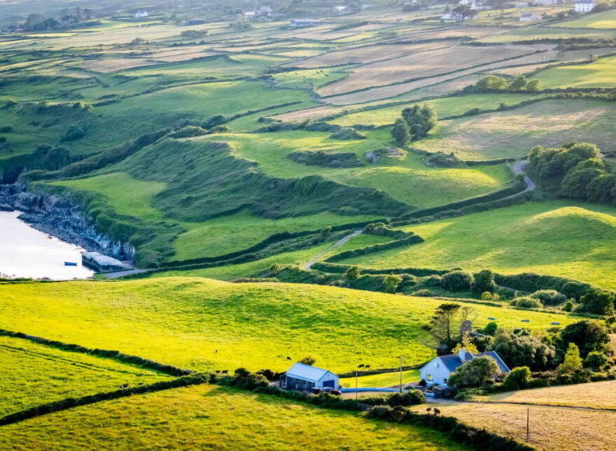 Ballynatra, Kilcrohane, P75VN24