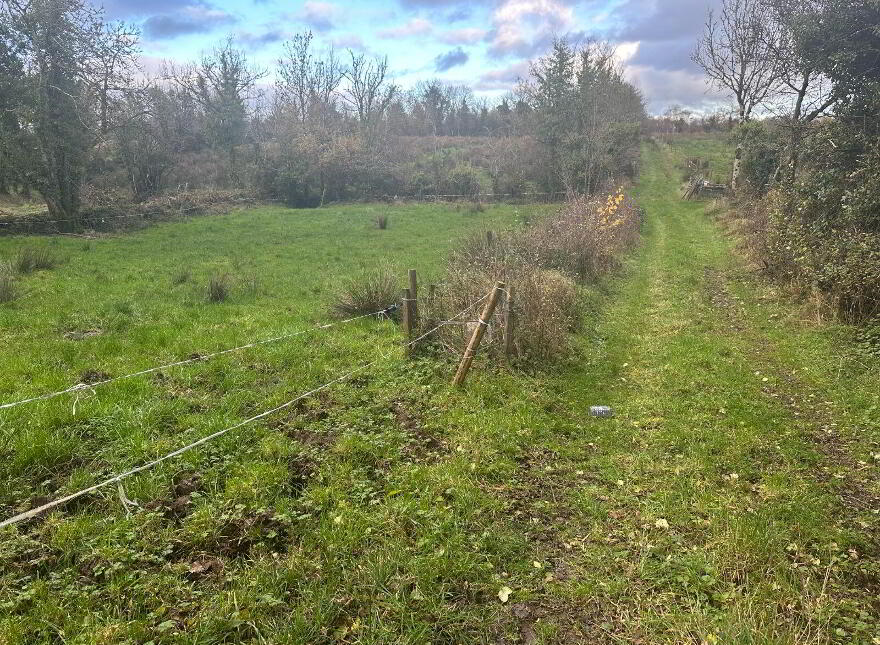Shanmullagh, Ballinamuck, N39C9Y7