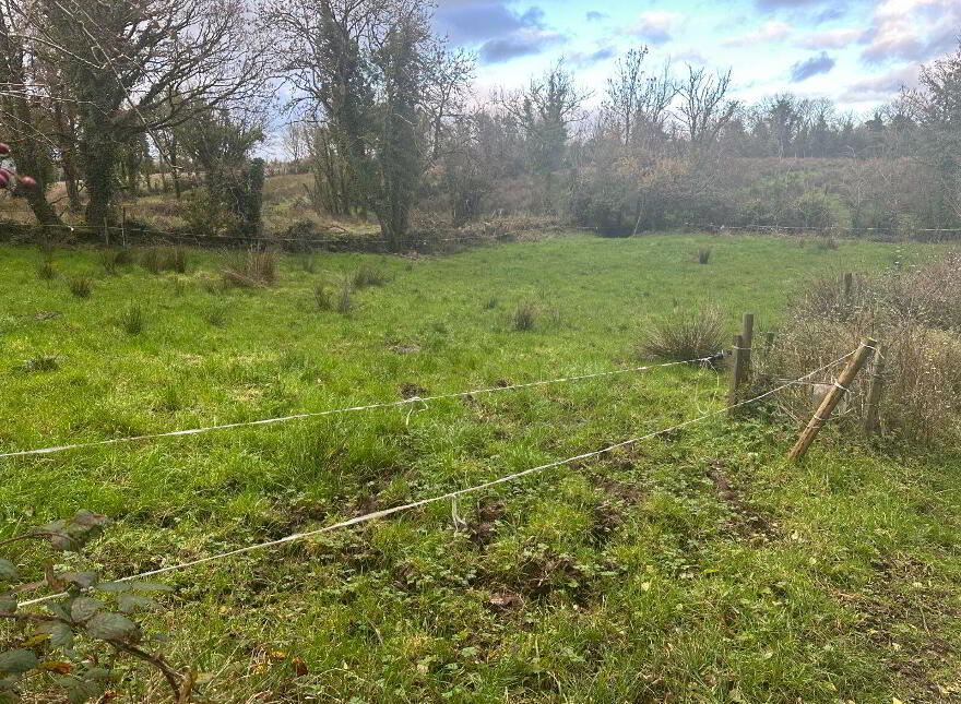 Shanmullagh, Ballinamuck, N39C9Y7