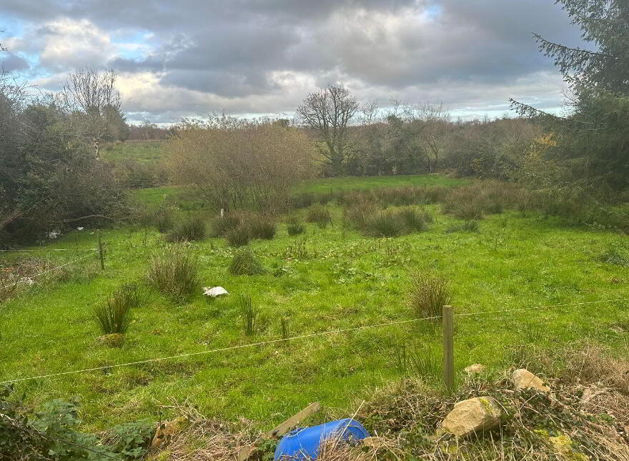 Shanmullagh, Ballinamuck, N39C9Y7